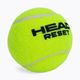 HEAD Reset Polybag teniso kamuoliukai 72 vnt. žali 575030 3