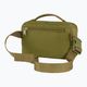 Rankinė ant juosmens Fjällräven Kanken 2 l foliage green 3