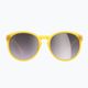 POC Know aventurino geltonos spalvos permatomi / skaidrūs sidabriniai akiniai nuo saulės 6