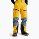 Peak Performance vyriškos slidinėjimo kelnės Gravity GoreTex 3L yellow G78018080