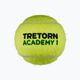 Tretorn ST1 teniso kamuoliukai 36 vnt. geltoni 3T519 474442 2