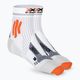 Vyriškos X-Socks Marathon Energy 4.0 bėgimo kojinės arctic white/trick orange