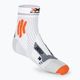 Vyriškos X-Socks Marathon Energy 4.0 bėgimo kojinės arctic white/trick orange 2