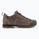 Vyriški Dolomite 54 Low FG GTX trekingo batai rudi 247959-1927 2