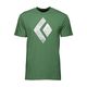 Black Diamond Chalked Up vyriški laipiojimo marškinėliai arbor green 4