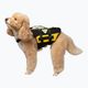 Šuns saugos liemenė Cressi Dog Life Jacket black/yellow