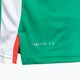Vyriški teniso marškinėliai Diadora SS TS green DD-102.179124-70134 4