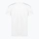 Vyriški marškinėliai EA7 Emporio Armani Train Gold Label Tee Pima Big Logo white 2