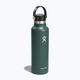 Turistinis butelis Hydro Flask Standard Flex 620 ml fir 2