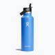 Terminis butelis Hydro Flask Standard Flex Straw 620 ml cascade 3