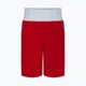 Vyriški "Nike" bokso šortai raudonos spalvos
