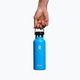 Hydro Flask Standard Flex 530 ml terminis buteliukas, mėlynas S18SX415 4