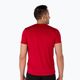 Vyriški bėgimo marškinėliai Joma Record II raudoni 102227.600 4