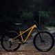 Orbea kalnų dviratis Laufey H30 2023 gold N24917LX 8