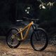 Orbea kalnų dviratis Laufey H10 beige 2023 N25017LX 8