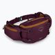 Dviračio krepšys Osprey Savu 5 aprium purple 2