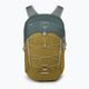 Miesto kuprinė Osprey Quasar 26 l green tunnel/brindle brown