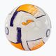 Joma Dali II fluor white/fluor orange/purple 4 dydžio futbolo kamuolys 3