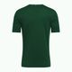 Tommy Hilfiger moteriški treniruočių marškinėliai Regular Th Monogram green 6