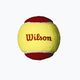 Wilson Starter Red Tballs vaikiški teniso kamuoliukai 12 vnt. geltonos ir raudonos spalvos WRT137100 2