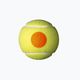 Wilson Starter Orange Tball vaikų teniso kamuoliukai 3 vnt. geltoni WRT137300 3