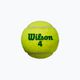Vaikų teniso kamuoliukai Wilson Starter Play Green 4 vnt. geltoni WRT137400 3