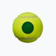 Vaikų teniso kamuoliukai Wilson Starter Play Green 4 vnt. geltoni WRT137400 4