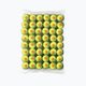 Wilson Starter Orange Tball vaikų teniso kamuoliukai 48 vnt. geltoni WRT13730B
