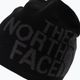 The North Face apverčiama Tnf Banner žieminė kepurė juoda NF00AKNDKT01 3