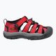 Vaikiški žygio sandalai KEEN Newport H2 ribbon red/gargoyle 8