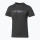 Vyriški marškinėliai Atomic Alps black 2
