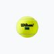 Wilson Tour Premier All Ct teniso kamuoliukai 3 vnt. geltoni WRT109400 3