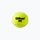 Wilson Tour Premier All Ct teniso kamuoliukai 4 vnt. geltoni WRT119400 3