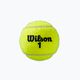 Wilson Roland Garros Clay Ct teniso kamuoliukai 3 vnt. geltoni WRT125000 3