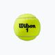 Wilson Roland Garros Clay Ct teniso kamuoliukai 4 vnt. geltoni WRT115000 3