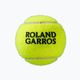 Teniso kamuoliukai Wilson Roland Garros All CT 4 vnt. yellow 4