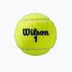 Wilson Roland Garros All Ct 4 Ball teniso kamuoliukai 2Pk 8 vnt. geltoni WRT116402 4