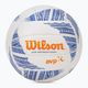 Wilson tinklinio kamuolys Avp Modern VB WTH305201XB 5 dydis