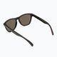 Oakley Frogskins matiniai juodi/prizm black poliarizuoti akiniai nuo saulės 0OO9013 2