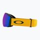 Oakley Flight Deck gold/prizm argon iridium slidinėjimo akiniai 5