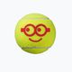 Wilson Minions Stage 3 vaikiški teniso kamuoliukai 3 vnt. geltoni WR8202701 2