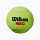 Wilson padelio kamuoliukai 3 vnt. geltoni WR8900801001 2