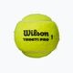 Wilson Triniti Pro Tball teniso kamuoliukai 4 vnt. geltoni WR8204801001 2