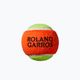 Wilson Roland Garros Elite 25 vaikų teniso rinkinys oranžinės ir baltos spalvos WR086810F 14