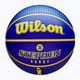 Wilson NBA Player Icon Outdoor Curry krepšinio kamuolys WZ4006101XB7 dydis 7