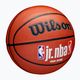 Vaikiškas krepšinio kamuolys Wilson NBA JR Fam Logo Indoor Outdoor brown dydis 5 2
