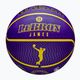 Krepšinio kamuolys Wilson NBA Player Icon Outdoor Lebron blue dydis 7 7