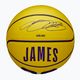 Vaikiškas krepšinio kamuolys Wilson NBA Player Icon Mini Lebron yellow dydis 3 4