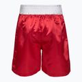 Vyriški treniruočių šortai Everlast Trunks Pro red/white 2