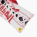 Bokso pirštinės Everlast Fight Leather red 6